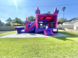 Pink Castle Combo Dry Slide