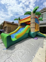 IMG 0909 1761779369 Palm Tree Combo Dry Slide