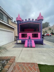 IMG 3300 1761776059 Pink & Purple Stripes Castle