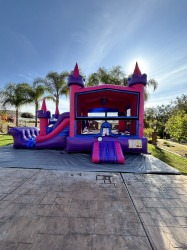 IMG 5560201 1761802141 Pink Castle Combo Dry Slide