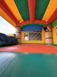 IMG 5619 1761779370 Palm Tree Combo Dry Slide